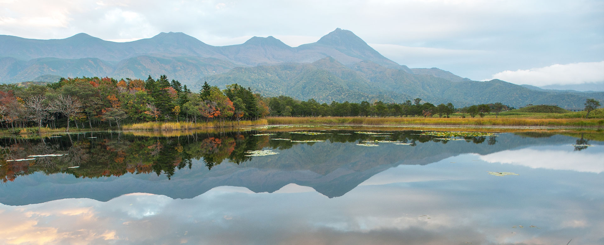 スタッフブログ