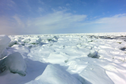 知床の流氷