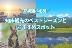 知床観光ベストシーズン