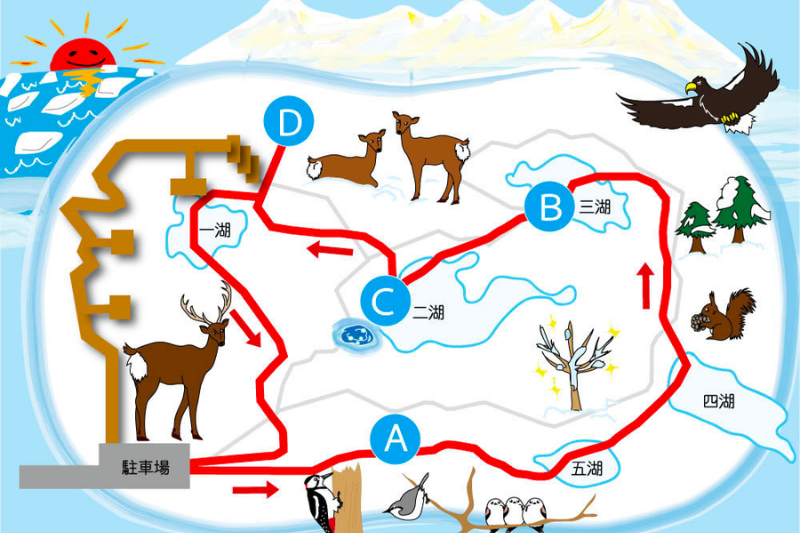 知床五湖のルート（冬）